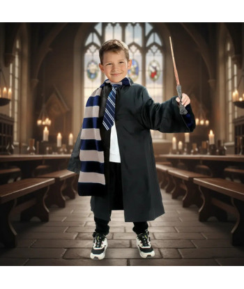 Disfraz Harry Potter Hogwarts Gryffindor Ravenclaw Slytherin Ravenclaw 7-9