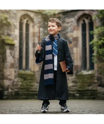 Disfraz Harry Potter Hogwarts Gryffindor Ravenclaw Slytherin Ravenclaw 3-4
