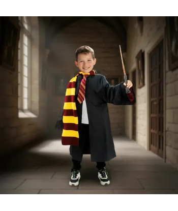 Disfraz Harry Potter Hogwarts Gryffindor Ravenclaw Slytherin Gryffindor 7-9